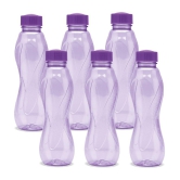 Milton - Purple Water Bottle 1000 mL ( Set of 6 ) - Purple