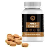 Holy Natural Amla Tablet - 120 no.s Vitamins Tablets