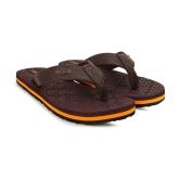 Campus Orange Mens Thong Flip Flop  (Pair of 1) - None