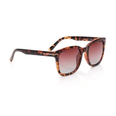 Brown Wayfarer Sunglasses for Unisex