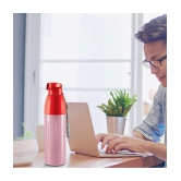 Milton Kool Convex 700 Insulated Inner Pet Water Bottle, 560 ml, Light Red | Easy To Carry | Leak Proof | School | Office | Gym | Hiking | Treking | Travel Bottle - Red