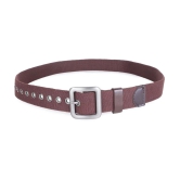 Zacharias - Brown Canvas Mens Casual Belt ( Pack of 1 ) - None