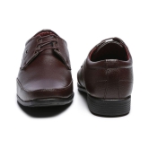 Action - Brown Mens Formal Shoes - None