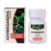 Mpil Wellness Ashwagandha Capsules 500 Mg : Extra Strength Supports Strength And Energy (60Cap)