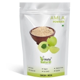 Holy Natural Amla Powder 500 gm Vitamins Powder