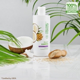 Daily Shampoo:  Coconut & Quinoa