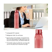 Milton Prime 1000 Pet Water Bottle, Set of 5, 1 Litre Each, Red | BPA Free | 100% Leak Proof | Office Bottle | Gym Bottle | Home | Kitchen | Travel Bottle | Hiking | Treking Bottle - Burgund