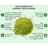 Organic Stevia Powder - 100 g