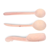 Curry Spoons set