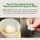 Herbal Strategi Neem Essential Oil 15 ML