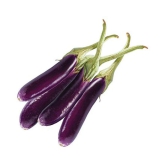 Brinjal (Bengan) Purple Long Quality Seeds - Pack of 50 F-1 Hybrid Seeds