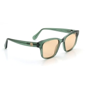 Brown Wayfarer Sunglasses for Men and Women