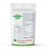 Nature''s Gift - 100 gm Mint Powder (Pack of 1)