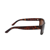 Brown Square Sunglasses for Unisex