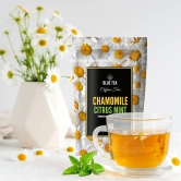 Chamomile Citrus Mint Herbal Infusion - 30 Tea Bags