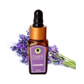 Organic Harvest Lavender Essential Oil, Cures Dry Acne, Hair Growth, Face, Hair Care, Pure & Undiluted Therapeutic Grade Oil, Excellent for Aromatherapy - 10ml