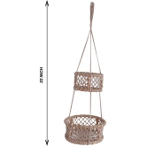 NUEVOSGHAR WOODEN BASKET HANGING PLANTER Door Hanging Cream - Pack of 1