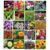 CLASSIC GREEN EARTH - Flower Seeds ( 20 FLOWER COMBO 1500 SEEDS HYBRID )