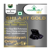 Shilajit Resin 20 gm Minerals Softgel