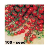 Cherry Tomato High Germination Seeds - Pack Of 100 Hybrid Seeds