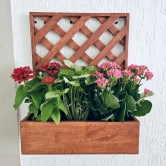 BARISH - Wall Mounted Planter - Single Square | Handcrafted with Rubberwood | Indoor Planter Frame with Stand 18 x 14 x 6 Inches