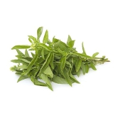 Italian Basil Stomata Farms 50 Gms