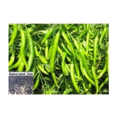 Green Hot Chilli Seed 100 Seed Pack + Instruction Manual + free seeds