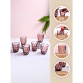 Wine-Colored Glass Tumbler Set of 6