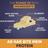 PROTEIN BARS (ASSORTED)-Blueberry & Choco Fudge / Pack of 6