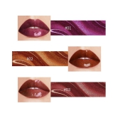 Cameleon Lip Gloss Liquid Rust 5 mL