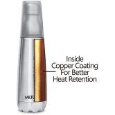 Milton Vertex 500 Thermosteel Hot or Cold Water Bottle with Unbreakable Tumbler, 500 ml, Silver - Silver