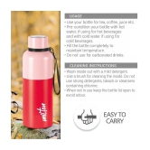 Milton Ancy 750 Thermosteel Water Bottle, 750 ml, Red | 24 Hours Hot and Cold | Easy to Carry | Rust Proof | Tea | Coffee | Office| Gym | Home | Kitchen | Hiking | Trekking | Travel Bottle -