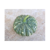 AllThatGrows Pumpkin, Kaddu Vegetable Winter Squash Seeds - Pack of 20