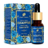 REGAL ESSENCE Eucalyptus Essential Oil,100% Pure & Natural For Cold & Cough Aromatherapy, Relaxation, Skin Therapy, -15ML (PACK OF 1)