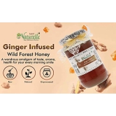 Farm Naturelle Healthy Ginger Infused Honey 700g + 75g Extra |100% Pure Honey| Raw & Unfiltered|Unprocessed|Lab Tested Honey In Glass Jar with Engraved Virgin Wooden Spoon