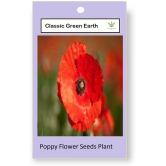 CLASSIC GREEN EARTH - Poppy California Flower ( 60 Seeds )