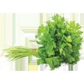 Exotic Flat Parsley 50 Gms