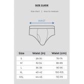 Fuaark Modal Mens Briefs ( Maroon ) FUSMBr - None