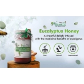 Farm Naturelle-Eucalyptus Forest 100% Pure Raw Un-Processed Honey 400 GMS with Cinnamon Honey and a Wooden Spoon.