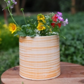 Mellow Yellow Planter-Single