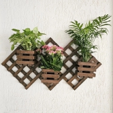 Wall Mounted Planter - Diamond