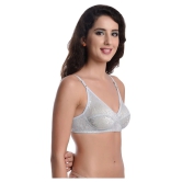 Madam Net/Mesh T-Shirt Bra - Grey Single - 38B