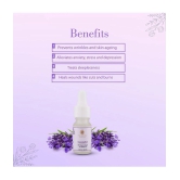 THE SKIN CO. - Lavender Essential Oil 10 mL ( Pack of 1 )