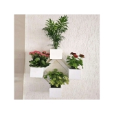 BARISH - Wall Mounted Planter - Diamond | Handcrafted with Rubberwood | Indoor Planter Frame with Stand 25 x 25 x 6 Inches - White