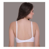 Zourt - White Cotton Solid Women's Maternity Bra ( Pack of 1 ) - 30B