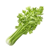 Namdhari Celery, 1 Kg