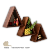 Triangular Wal Shelf (Set of 3)