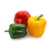 Creative Farmer Pepper Agro Capsicum F1 Colored Seeds Seed