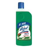 Lizol Disinfectant Surface Cleaner - Jasmine, 1 Pc