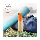 Milton Kool Convex 700 Insulated Inner Pet Water Bottle, 560 ml, Ivory | Easy To Carry | Leak Proof | School | Office | Gym | Hiking | Treking | Travel Bottle - Ivory